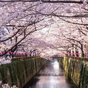 Meet your Posher, Kiana